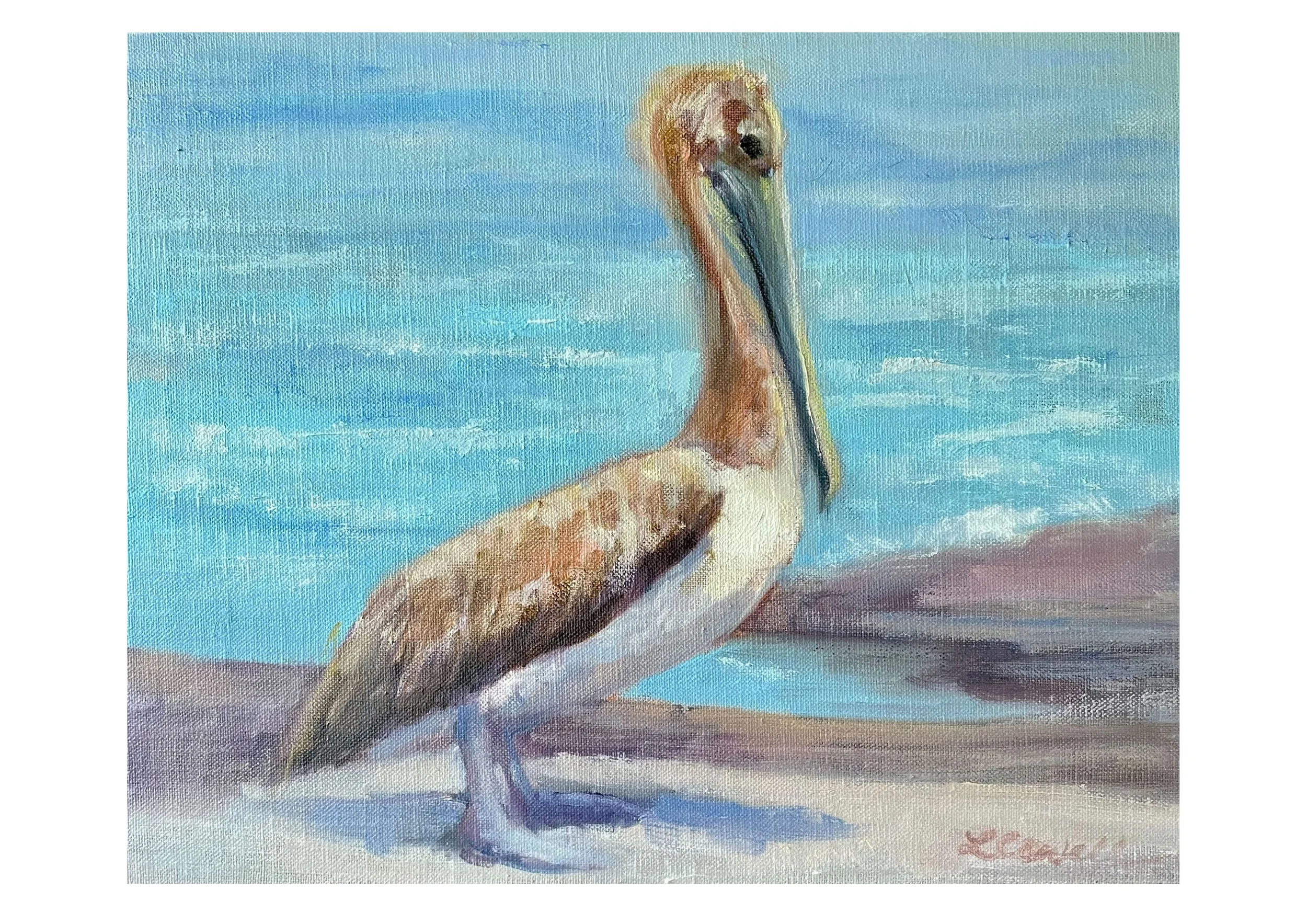 brown pelican water bird coastal aqua  tan brown white nature art print