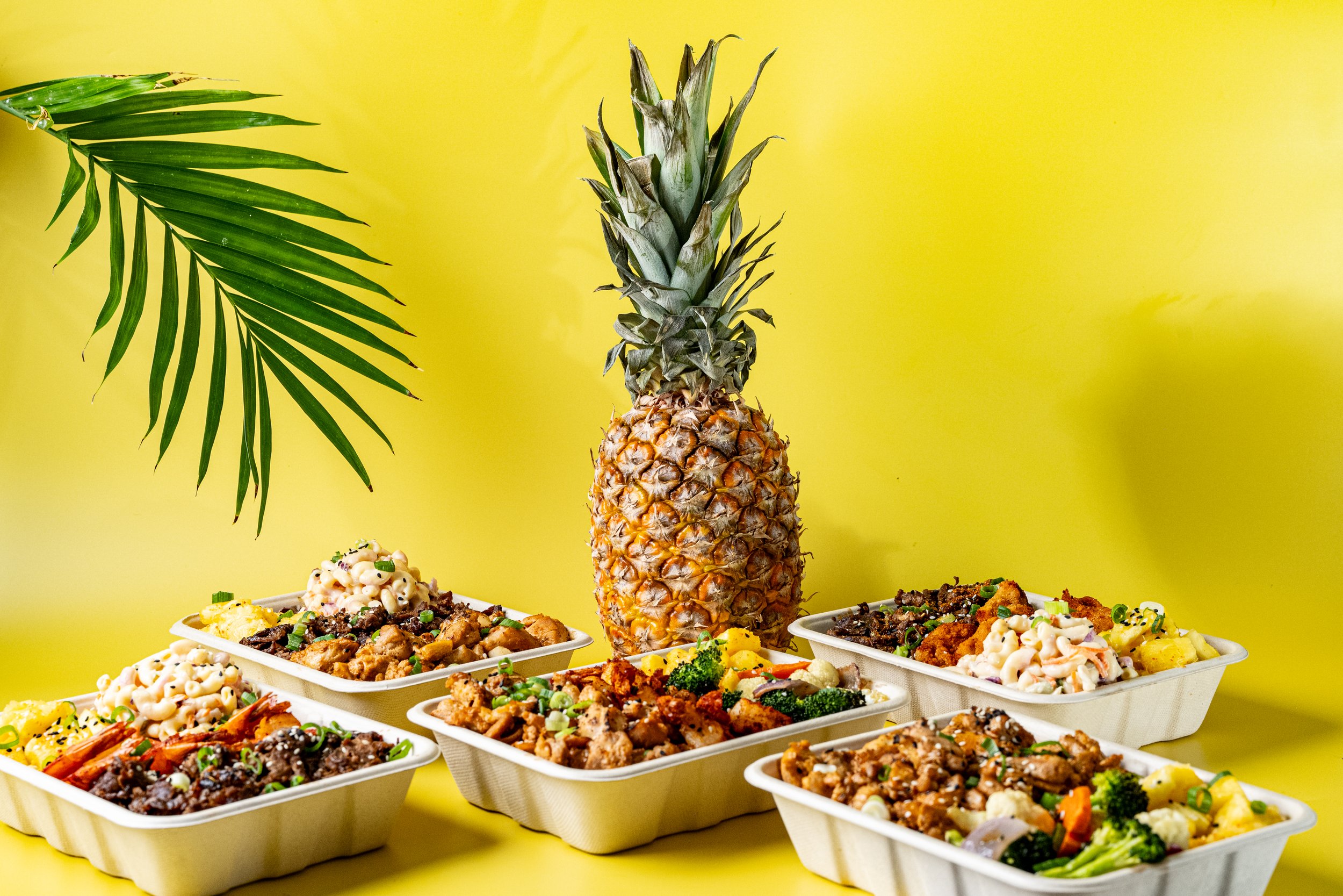 AlohaHibachi_Hero-7.jpg