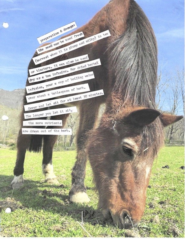 FF p29 copy.jpg