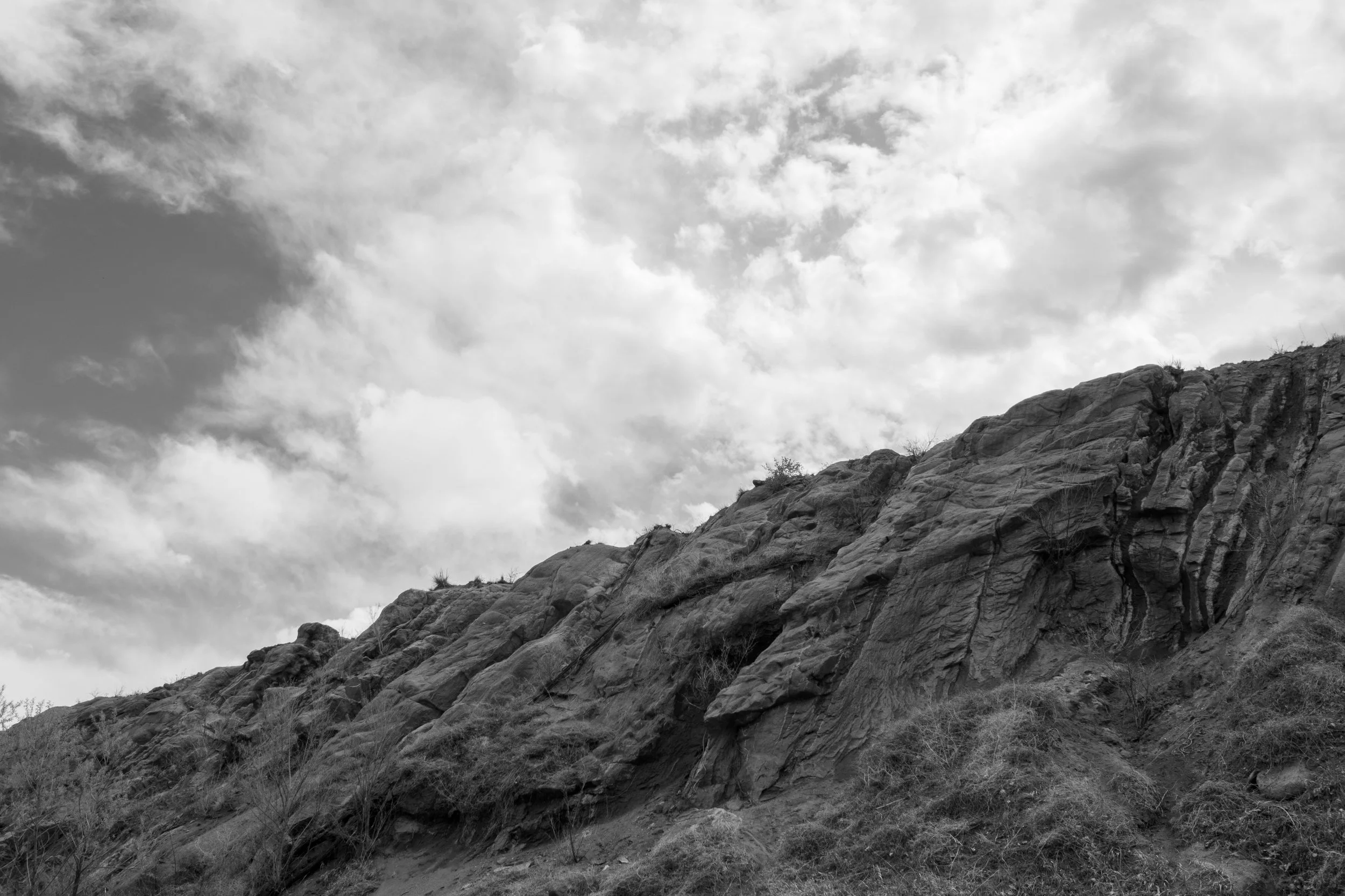 DSC_0115.jpg