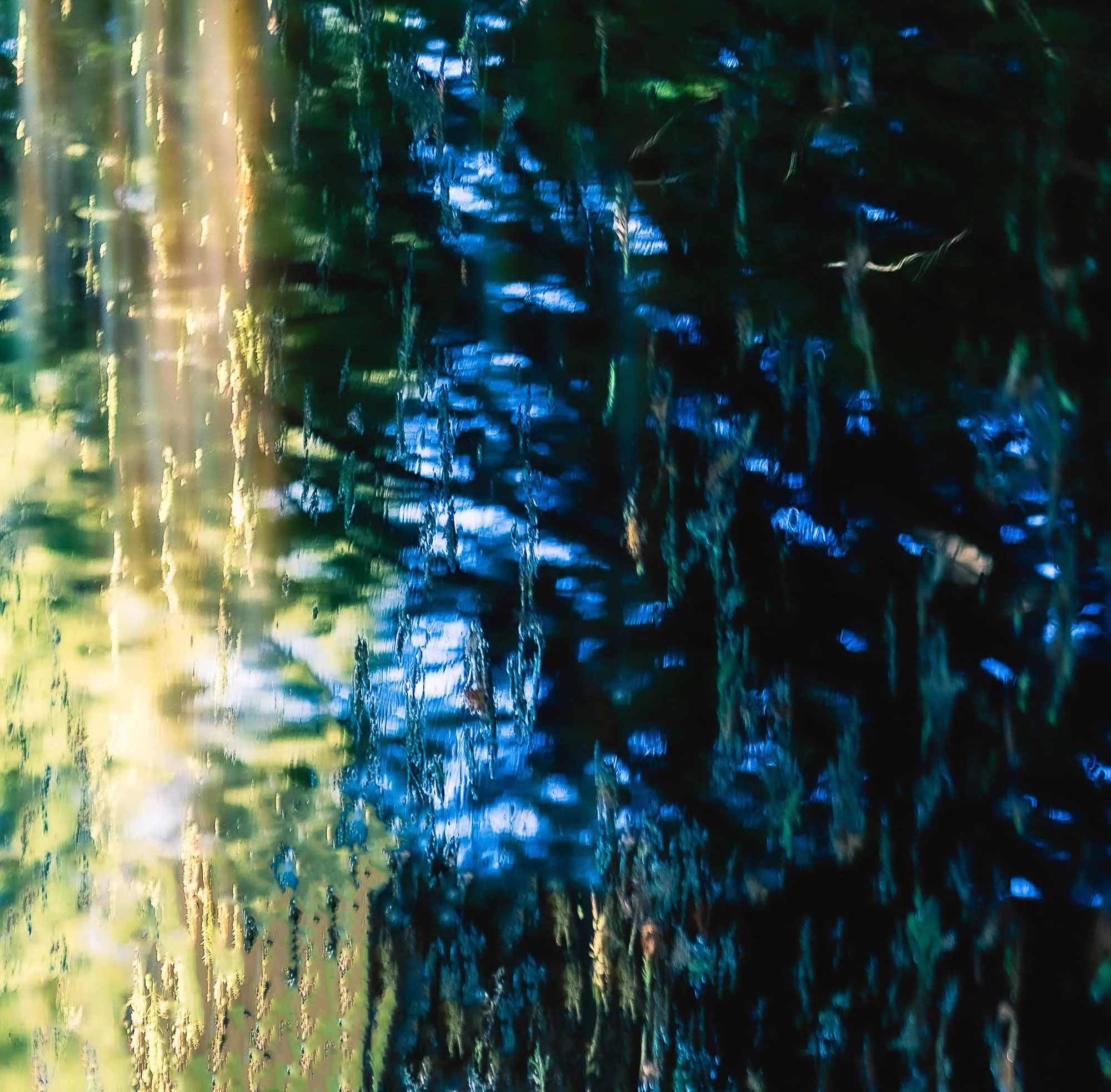 Abstract fine art photography water reflection light trees Andia Cally.jpg