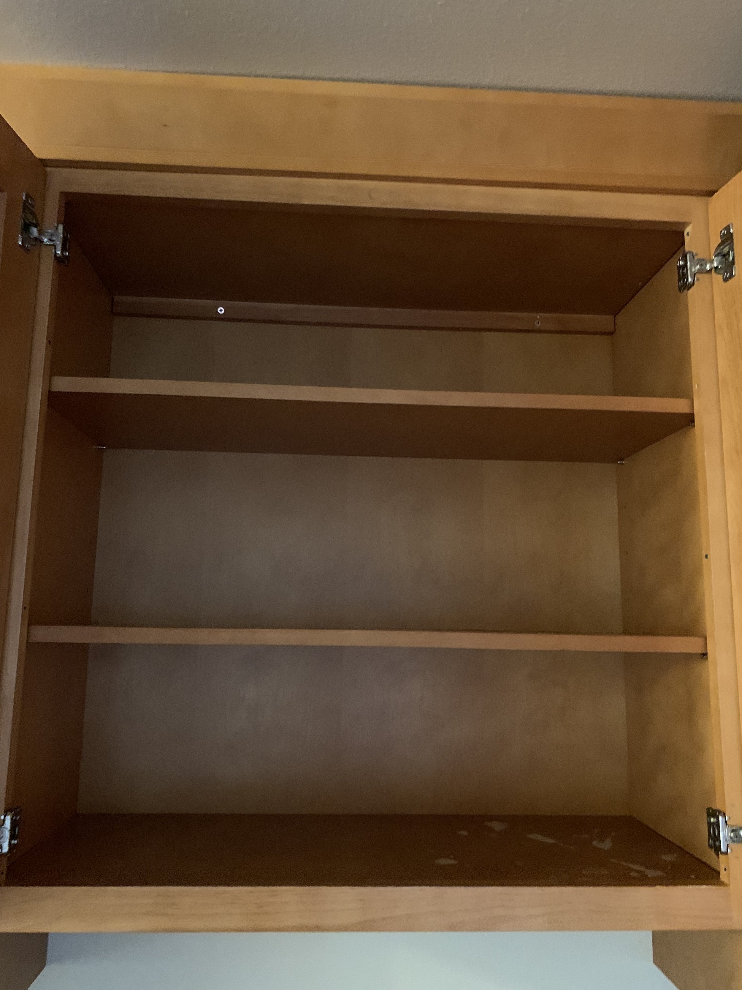 Before: Kitchen Cabinet