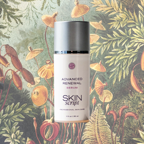 Website Products.png