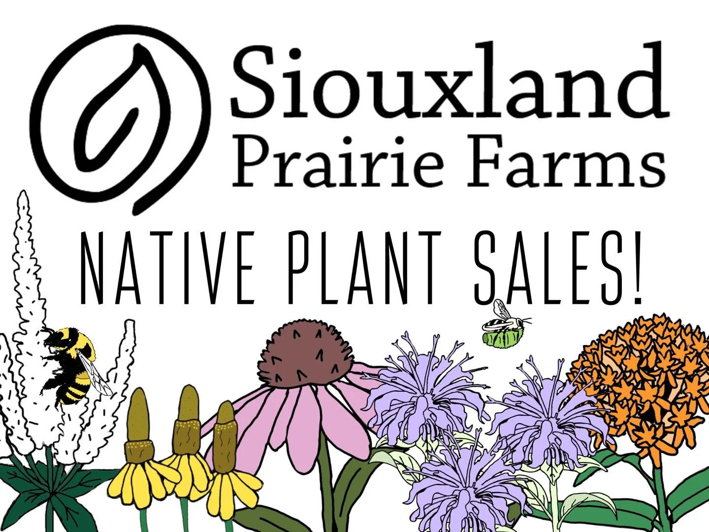 Native Plant Sales start this week!
Check out our website for available plants!

Saturday August 23
Monarch Tagging and Pollinator Day
Host: Good Earth State Park at Blood Run 
26924 480th Ave, Sioux Falls, SD, * Park Pass required
2:00-4:00pm

Thurs