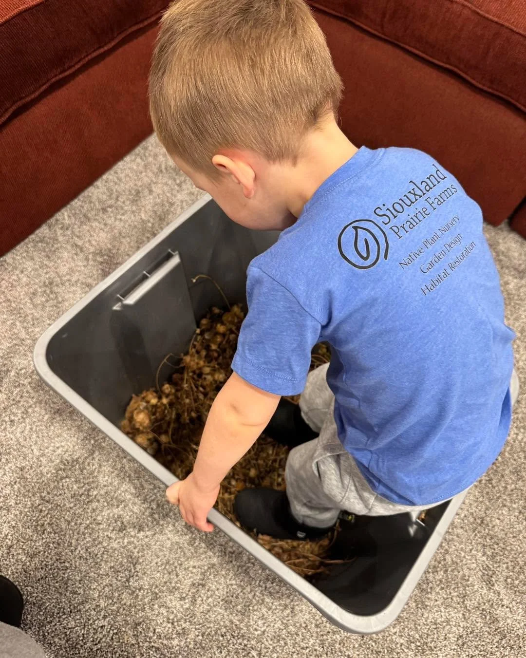 Not all seed cleaning requires fancy equipment&hellip; sometimes all you need is a toddler with boots!

#siouxlandprairiefarms