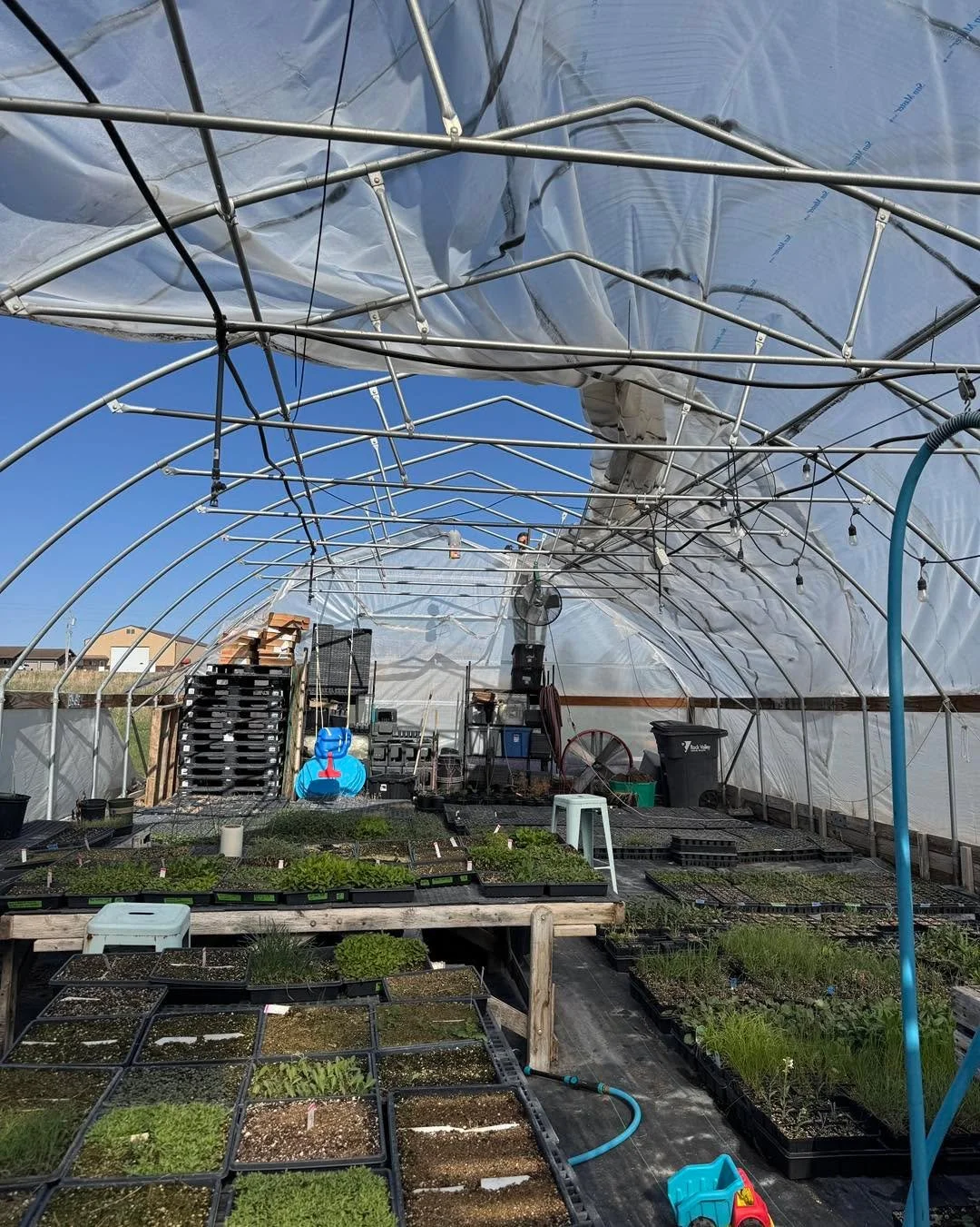 We are so thankful for our family and the calm evening last night that allowed us to install the NEW plastic! Finished in the dark and have a few things to clean up this morning but it is up! Wiggle wire party ✅

#siouxlandprairiefarms #greenhouse