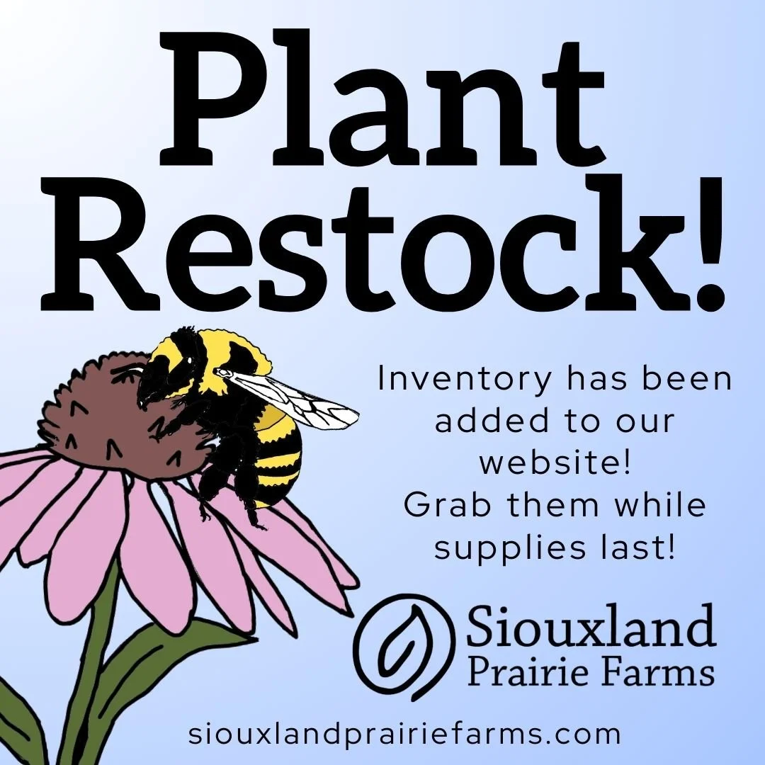 Plant Restock! The website has been updated for June! 
New plants species are now available, several restocked and new ones added that will be coming soon!

#siouxlandprairiefarms