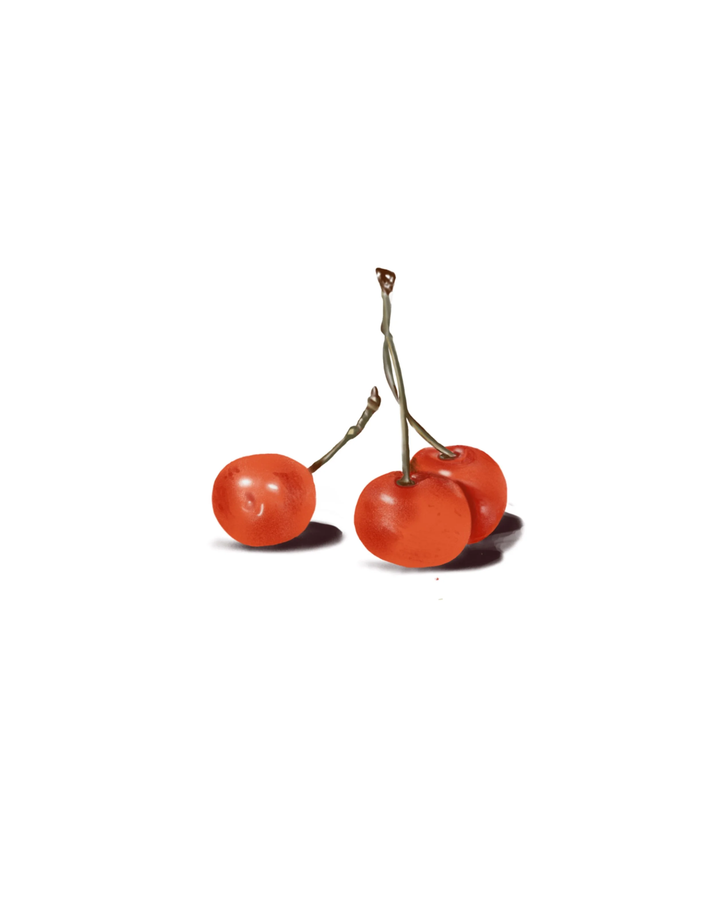 Gradient Cherries Bunch