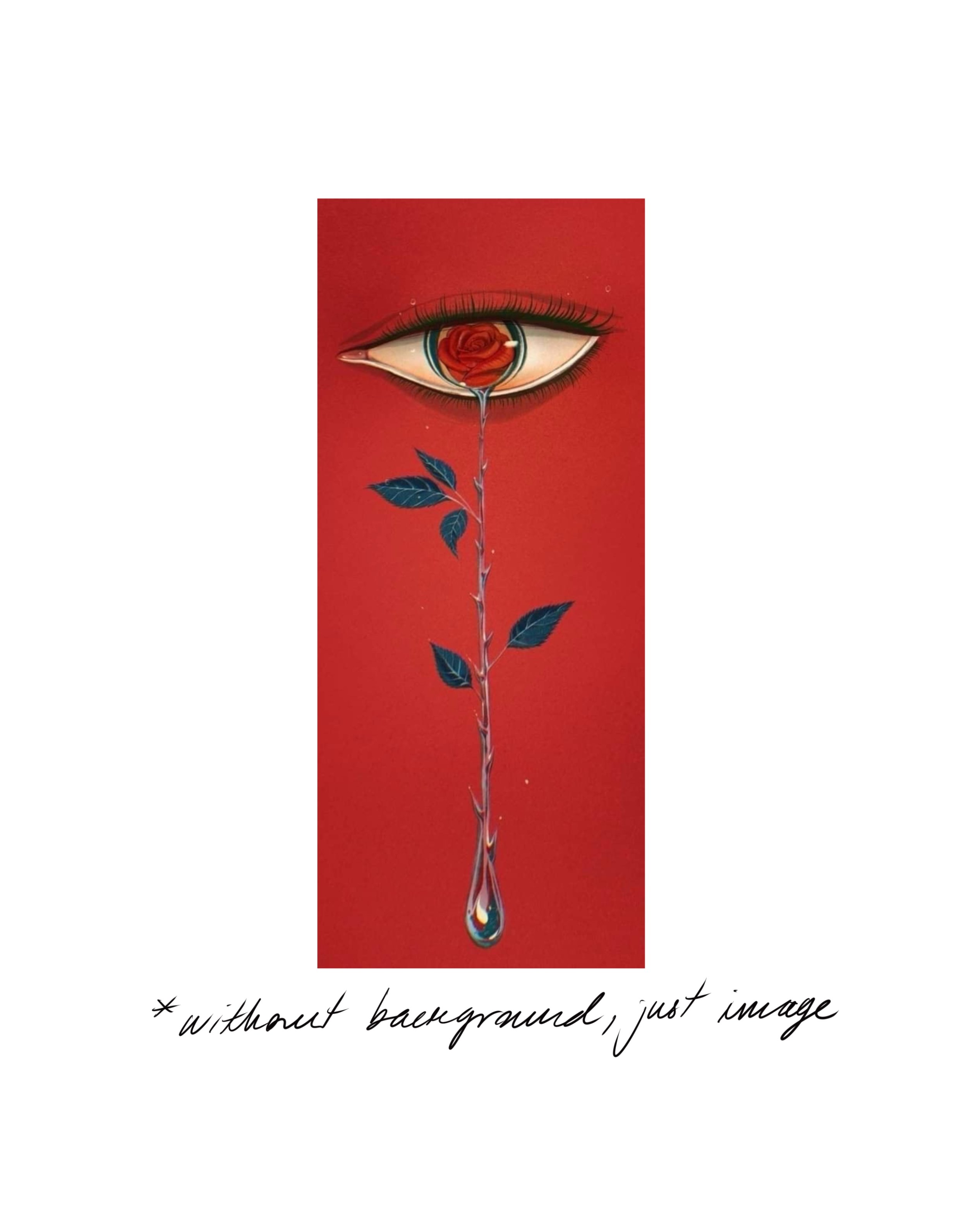 Crying Rose Eye (*no background) ~ Min 6” tall