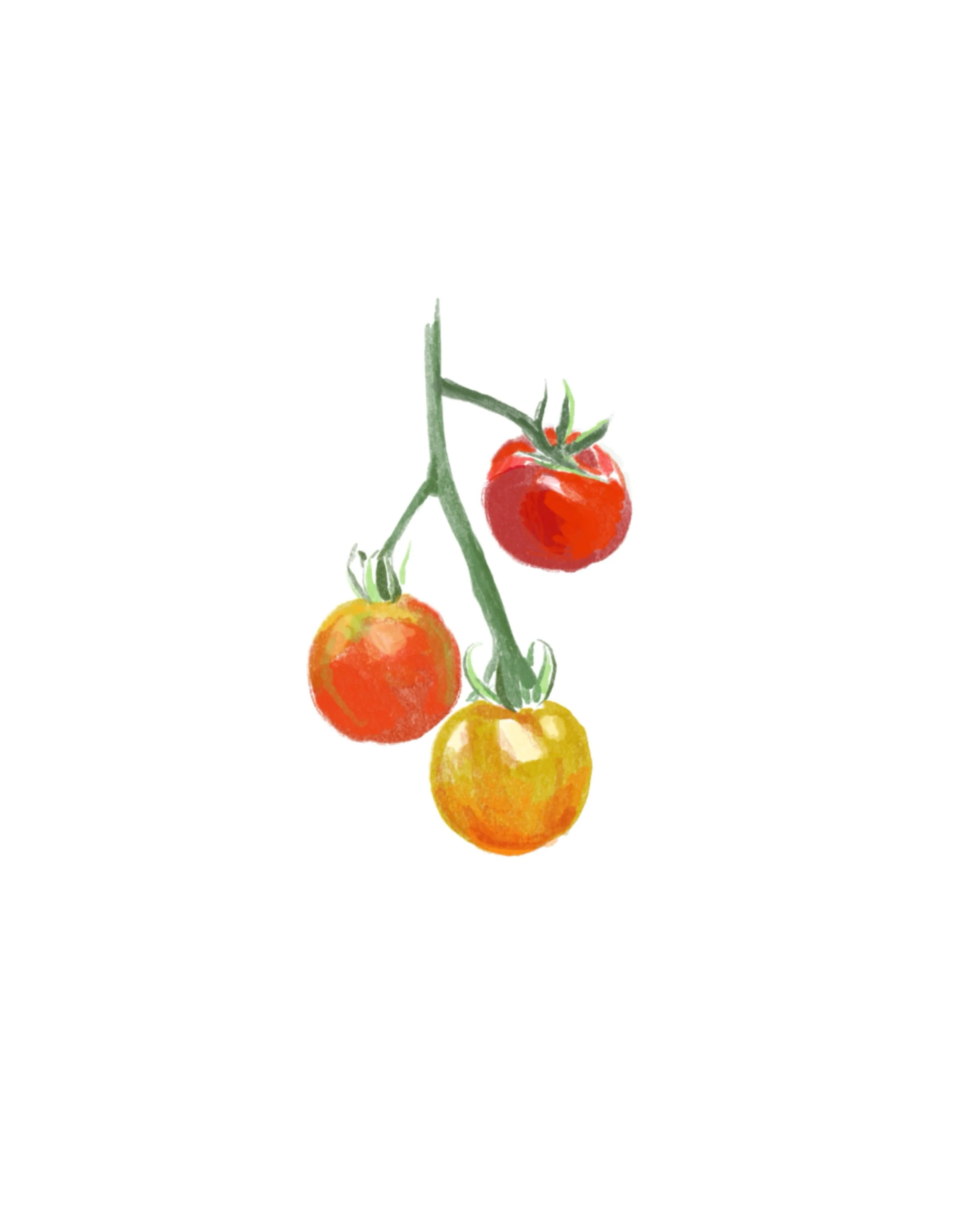 Summer tomato bunch