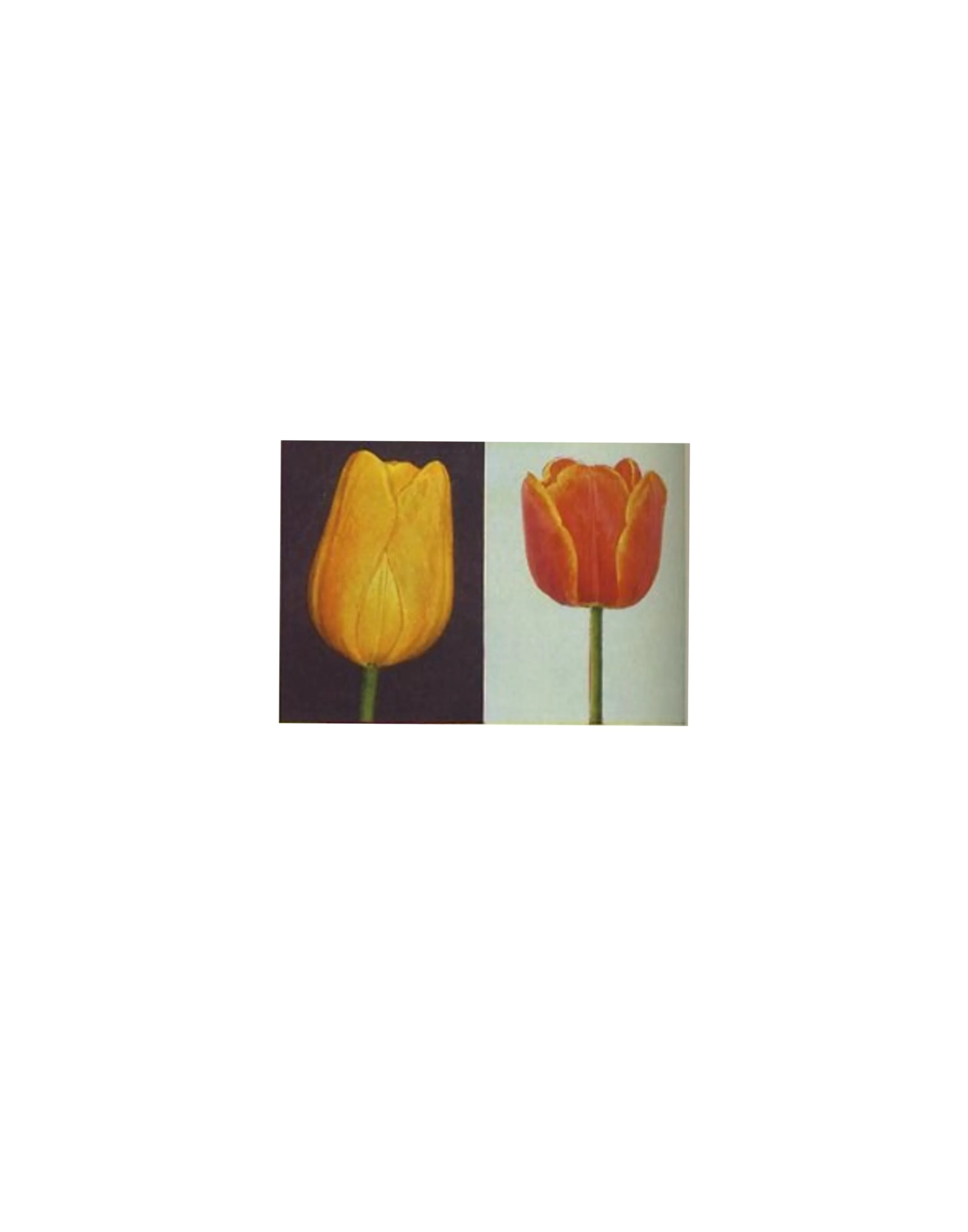IMG_3468.jpeg