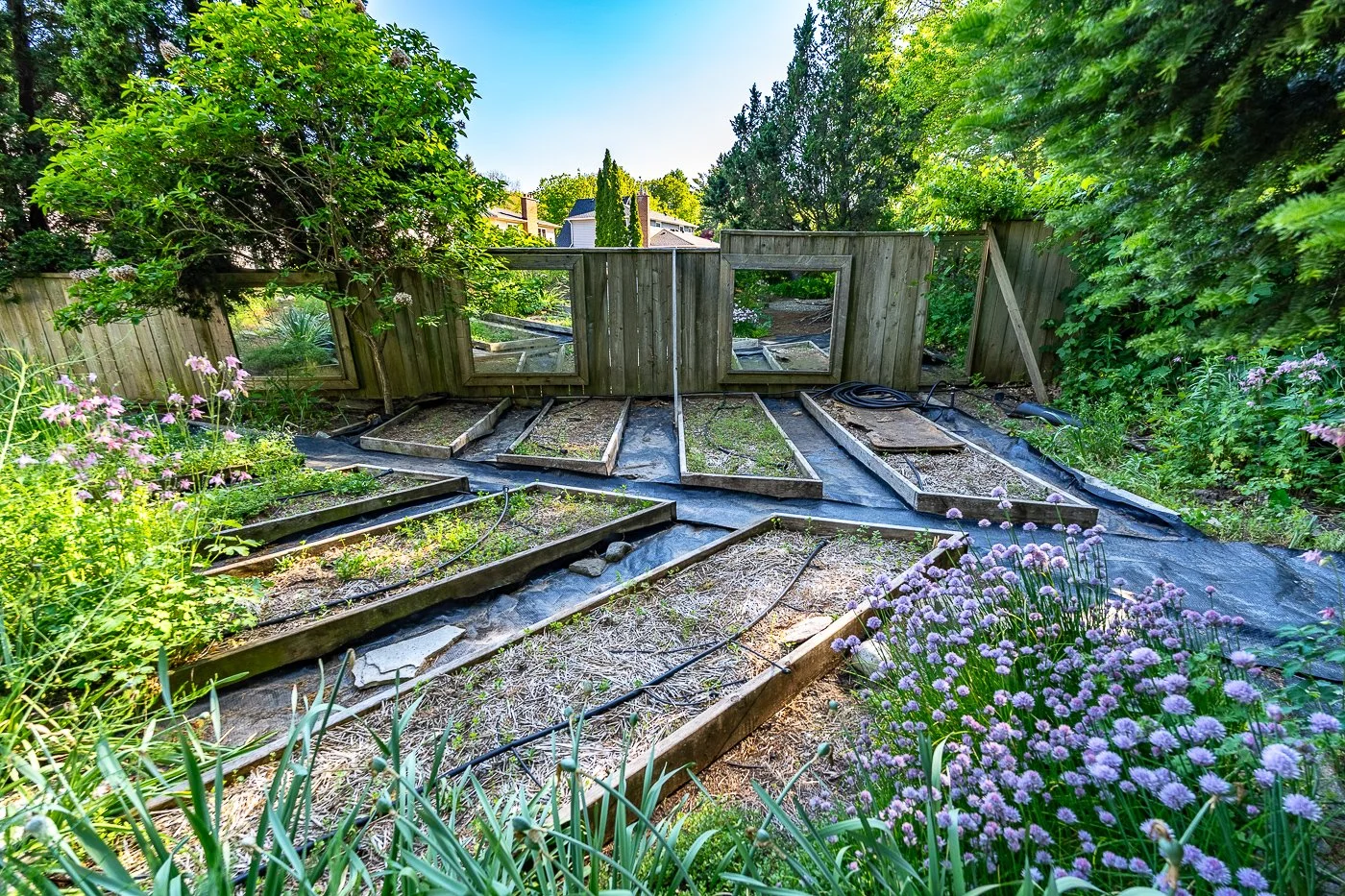 98.jpg