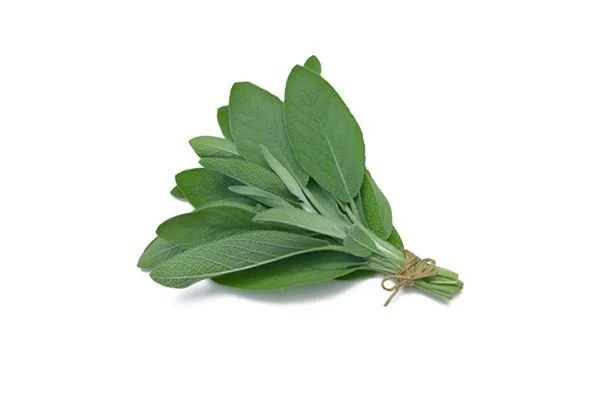 sage.jpg