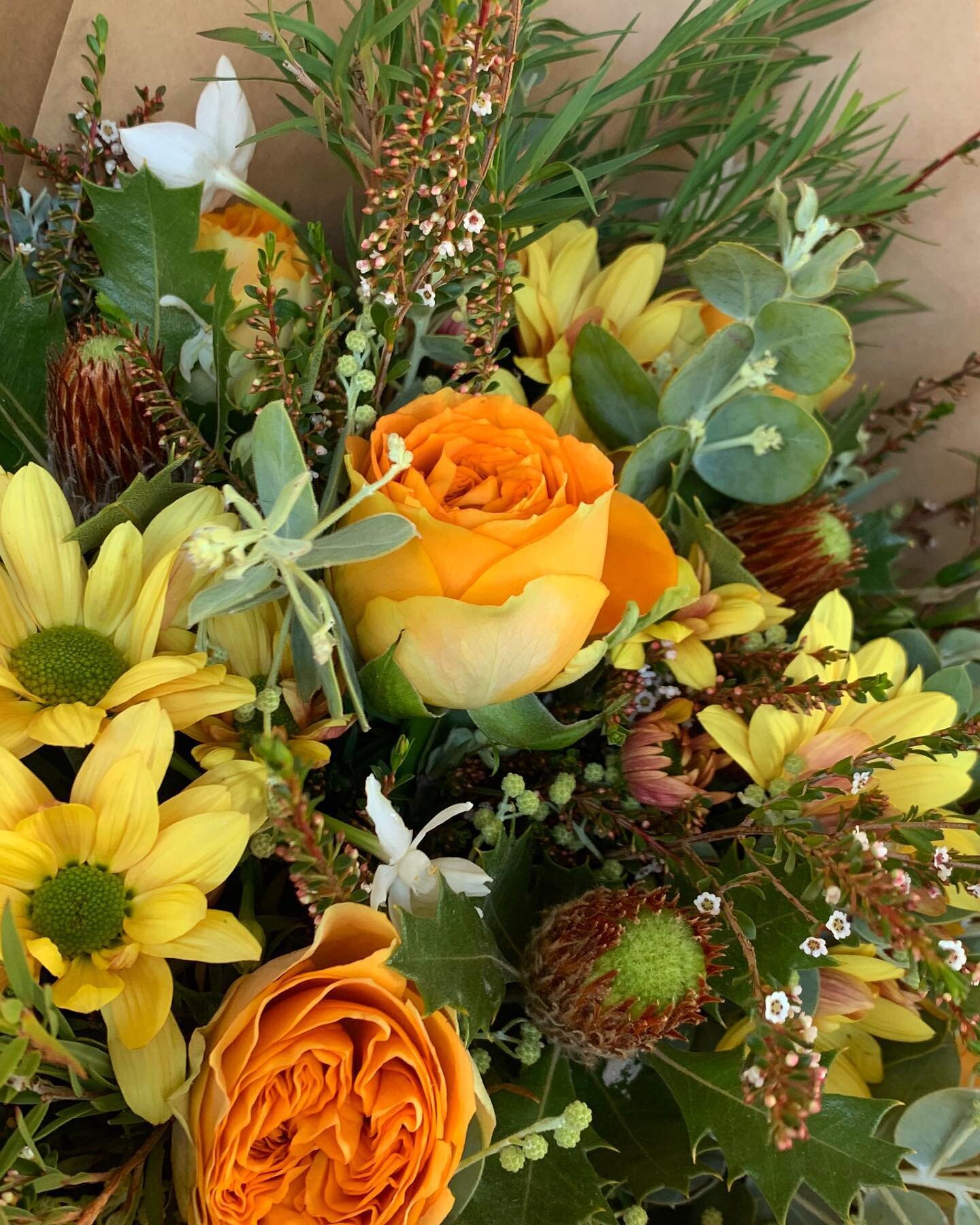 Warm sunshine colours today! Featuring my favourite locally grown chrysanthemums from @chryscoflowers 🌼 I adore the silvery tone and broad leaf of this particular wattle variety too, Mount Morgan wattle🔅 And can you tell I am having a really good t