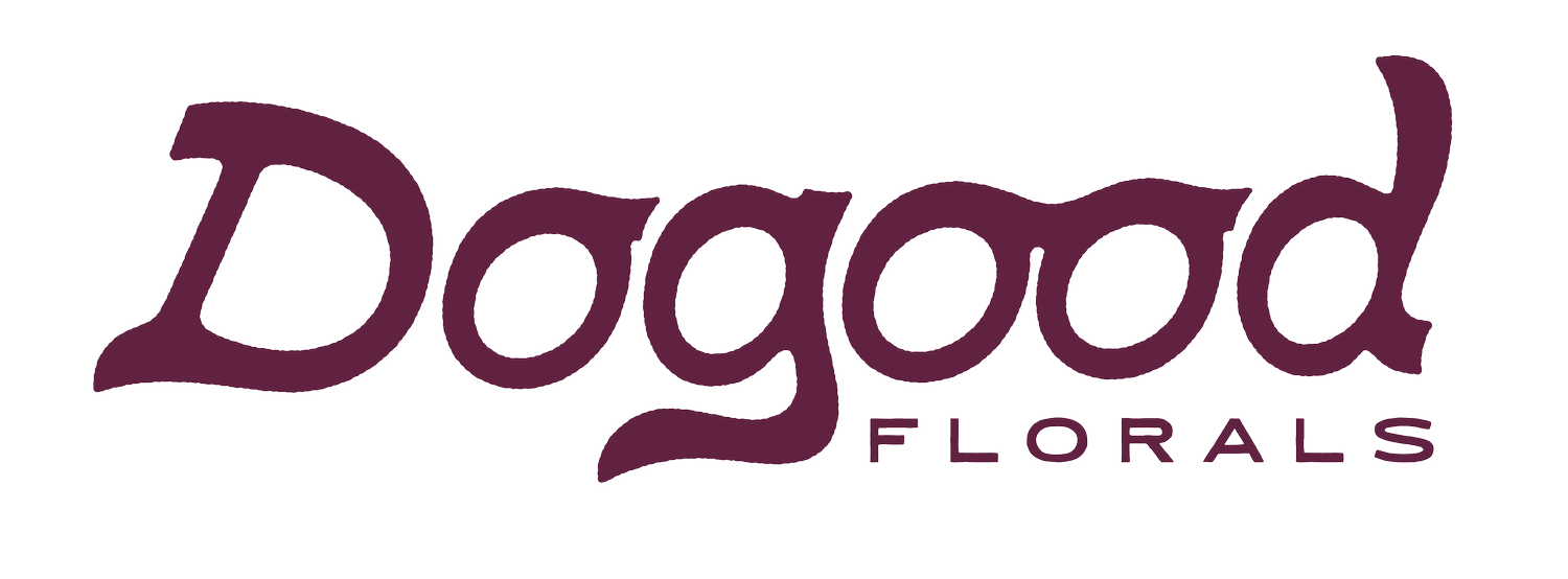 Alexandra Duguid Florals