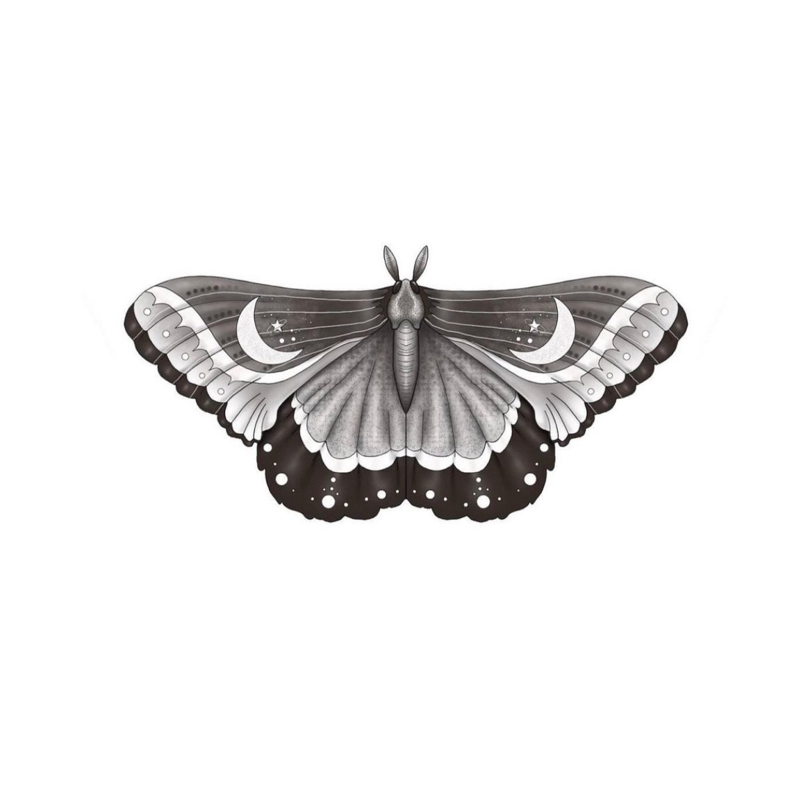 AfterlightImage (1).JPG