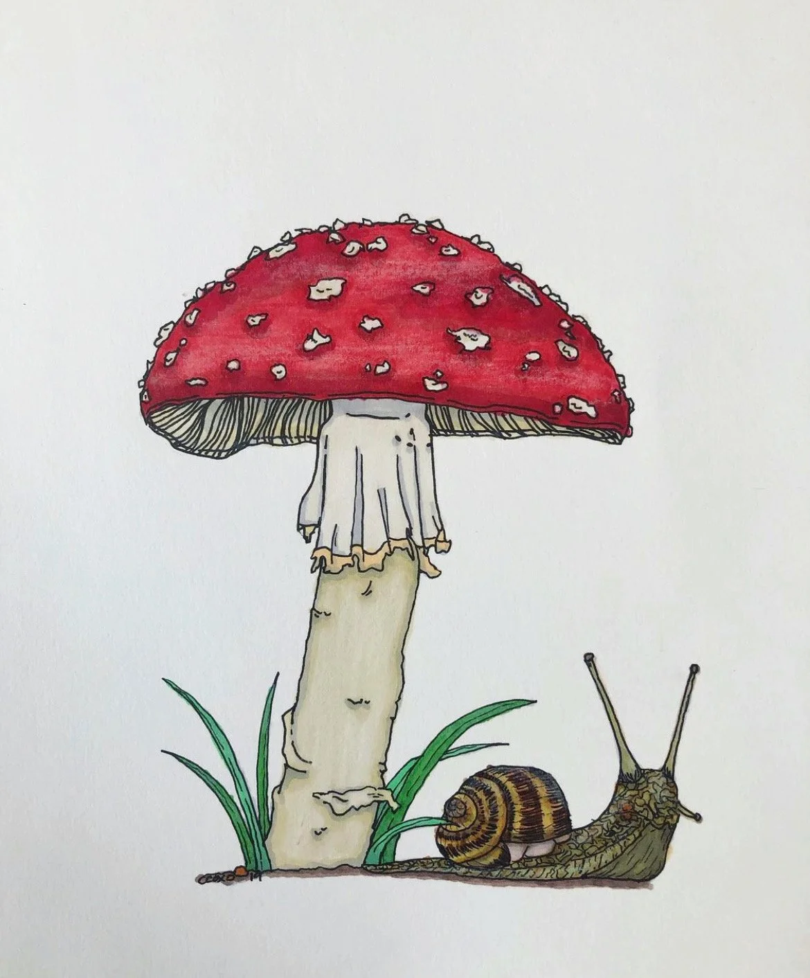 AfterlightImage (3).JPG