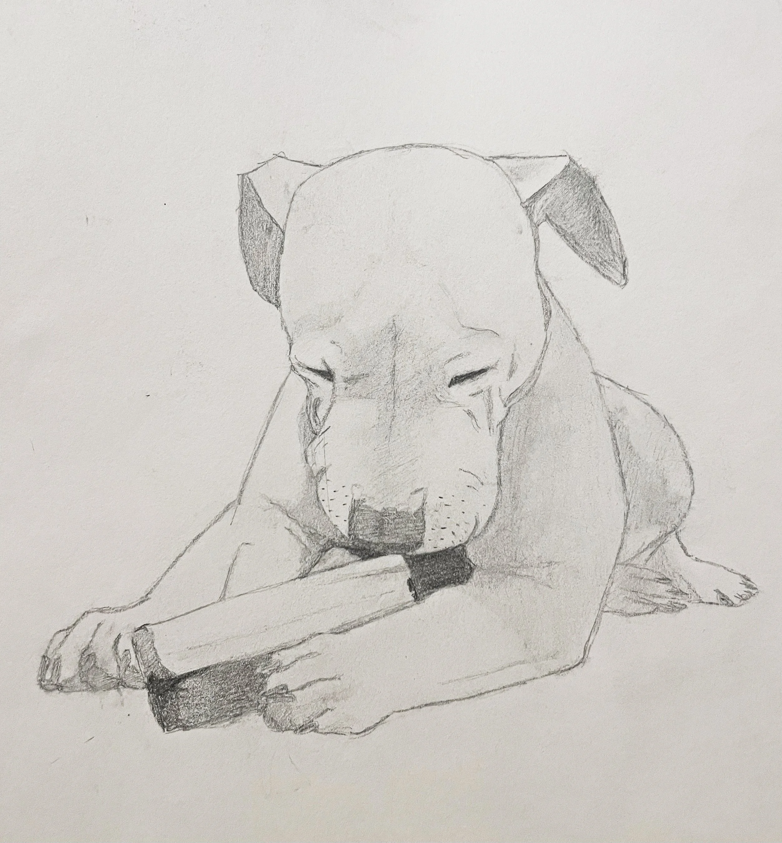 image_6483441 (7).JPG