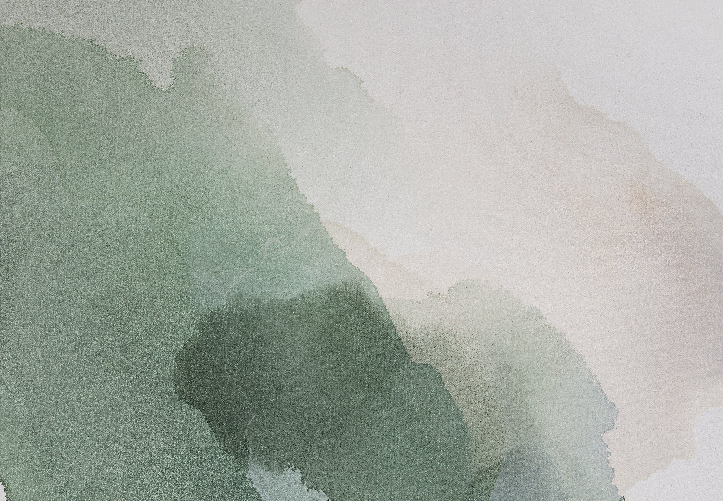 Light through Leaves 2 .jpg