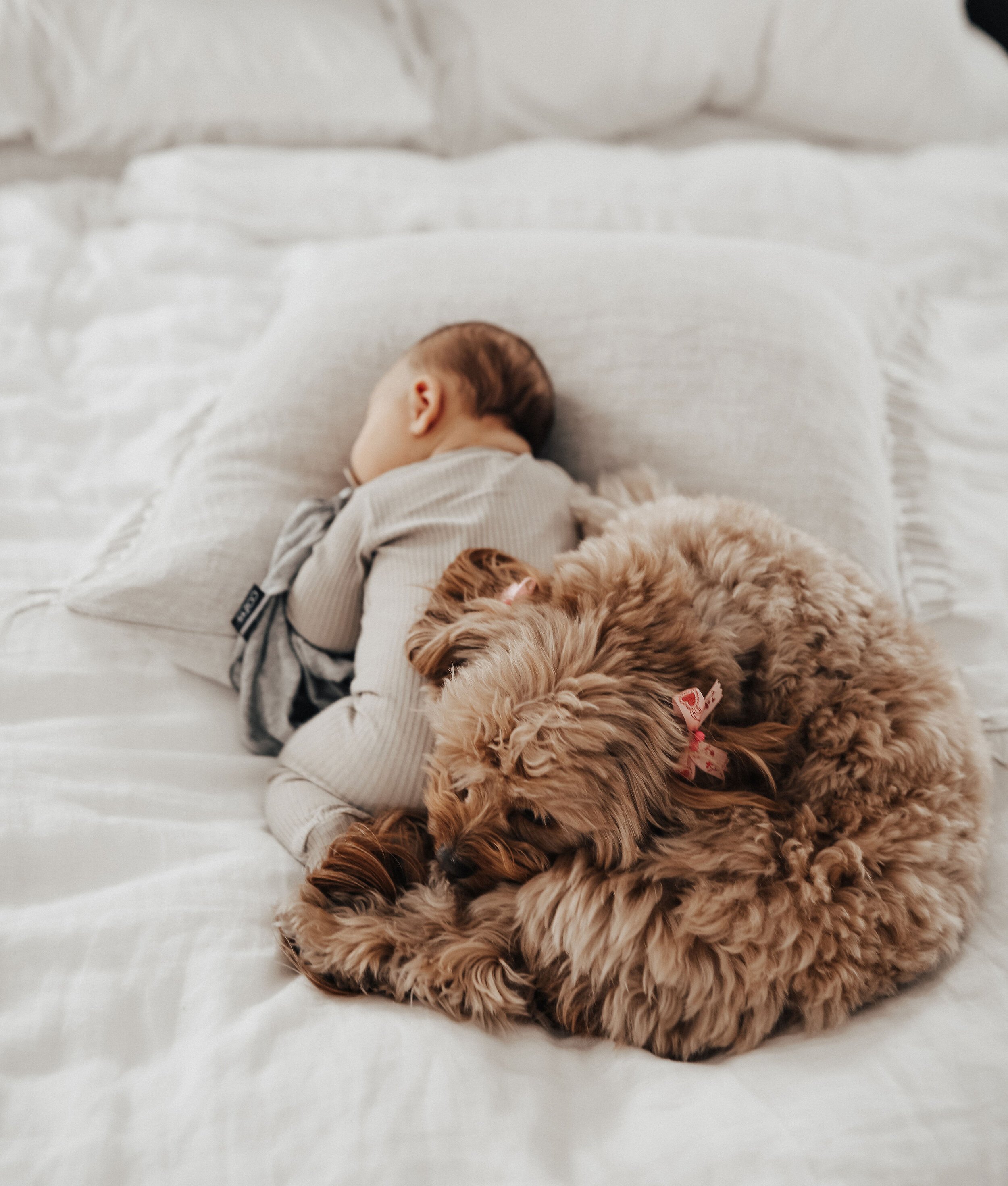 Newborn with dog