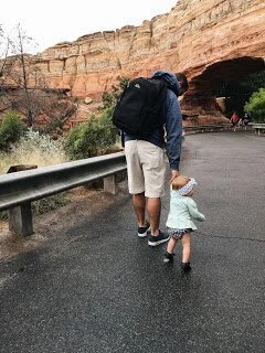 Disneyland family trip