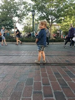 Disneyland with toddlers