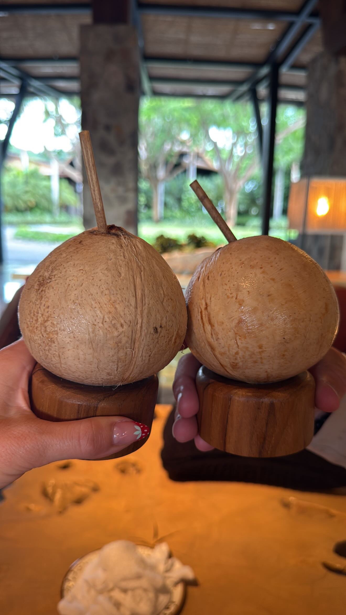 Costa Rica food review