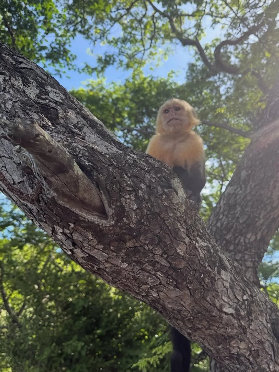 Costa Rica trip