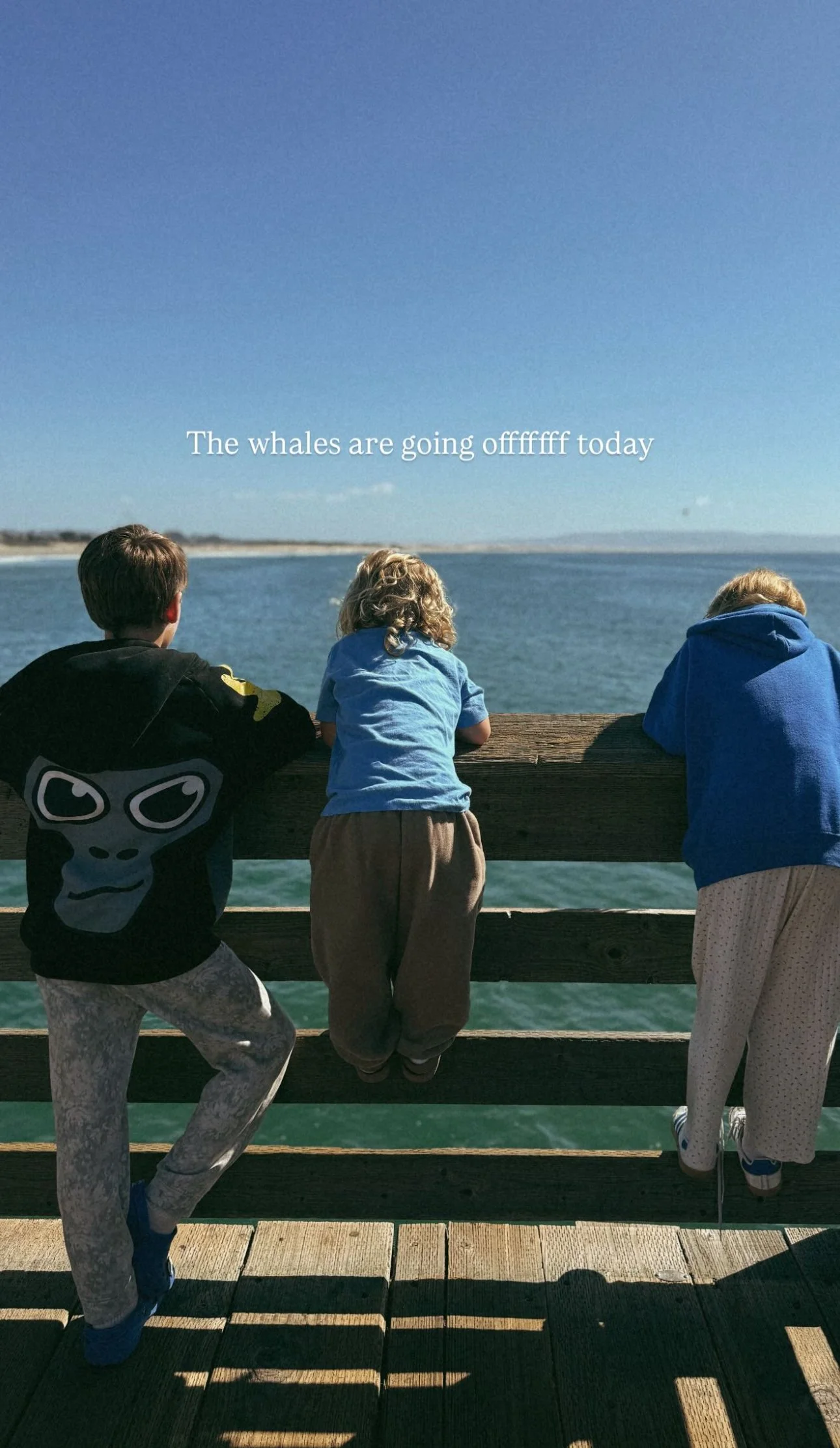 whales at Pismo Beach