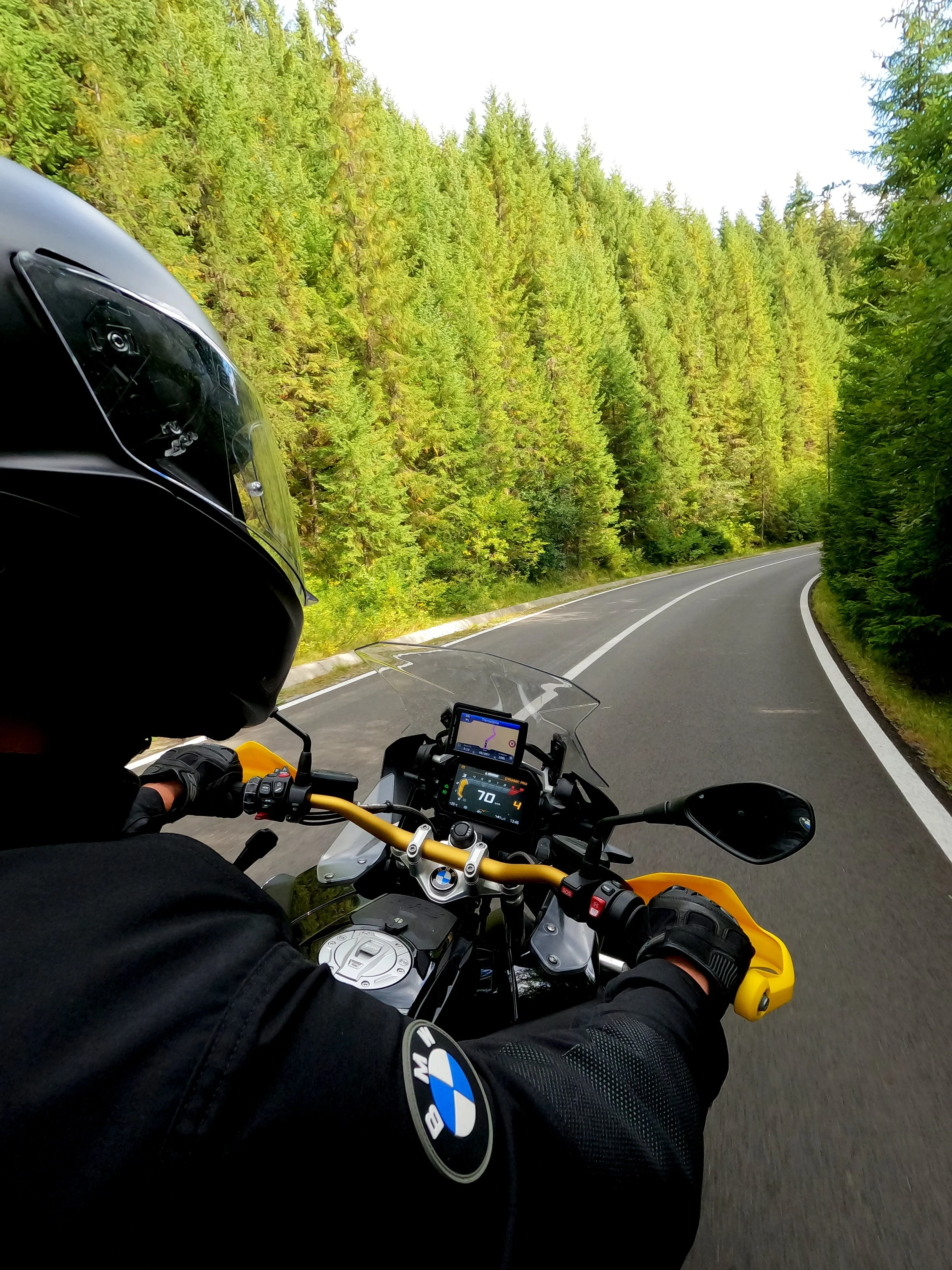 Motorcyclist riding on a winding road through a forest with tall pine trees, featuring a GPS device on the motorcycle's dashboard.