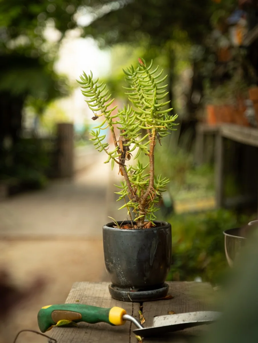 Futures of Care-34.jpg