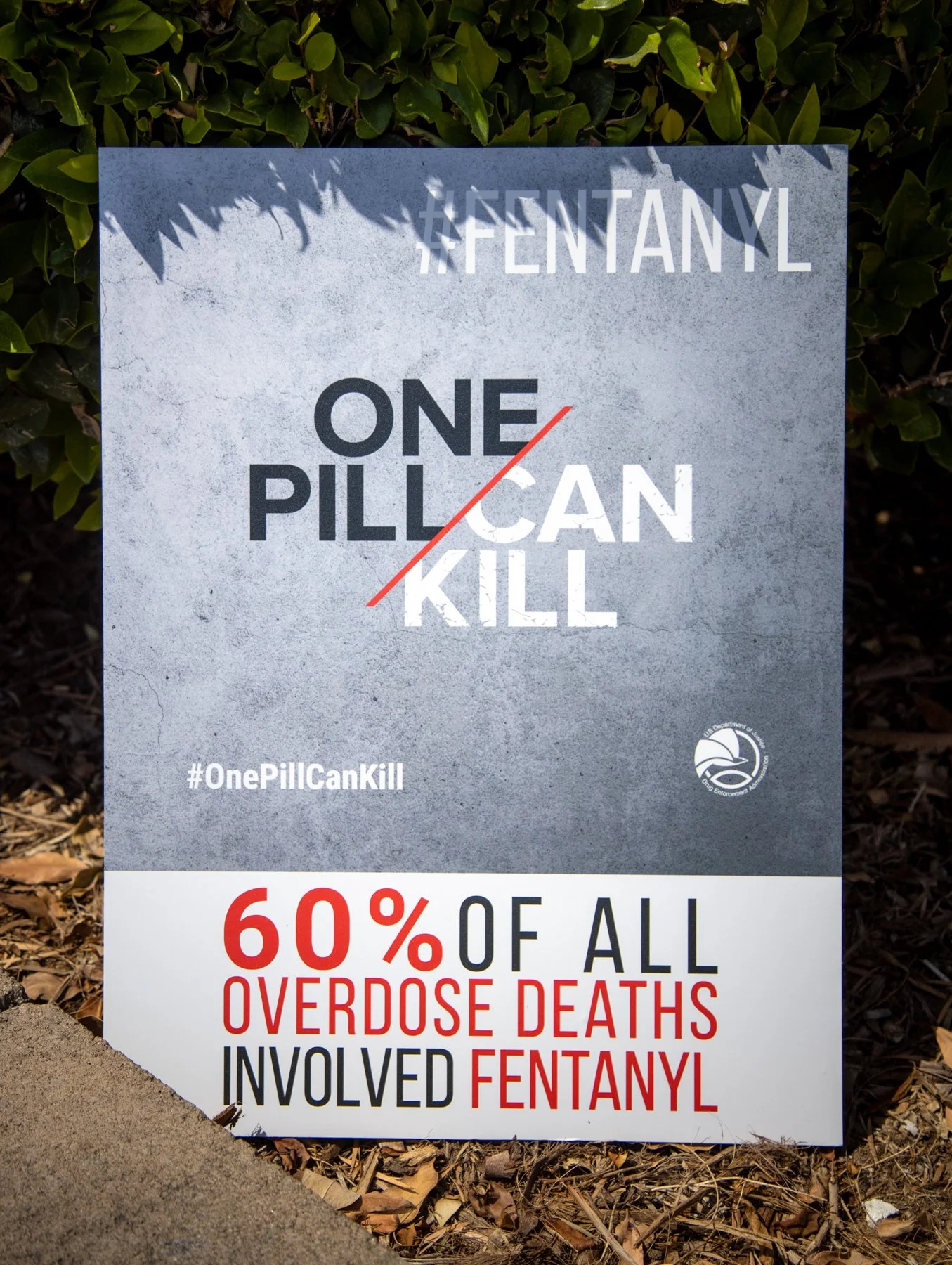 Fentanyl Awareness-8.jpg