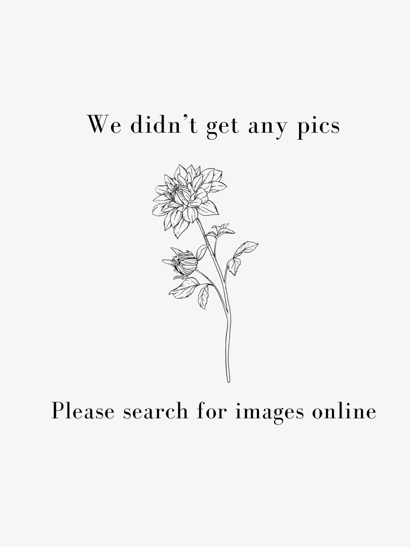 AC Ben Dahlia Tubers