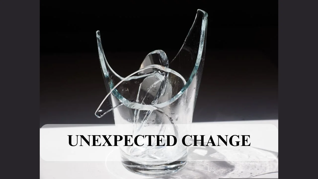 Coping with Unexpected Change