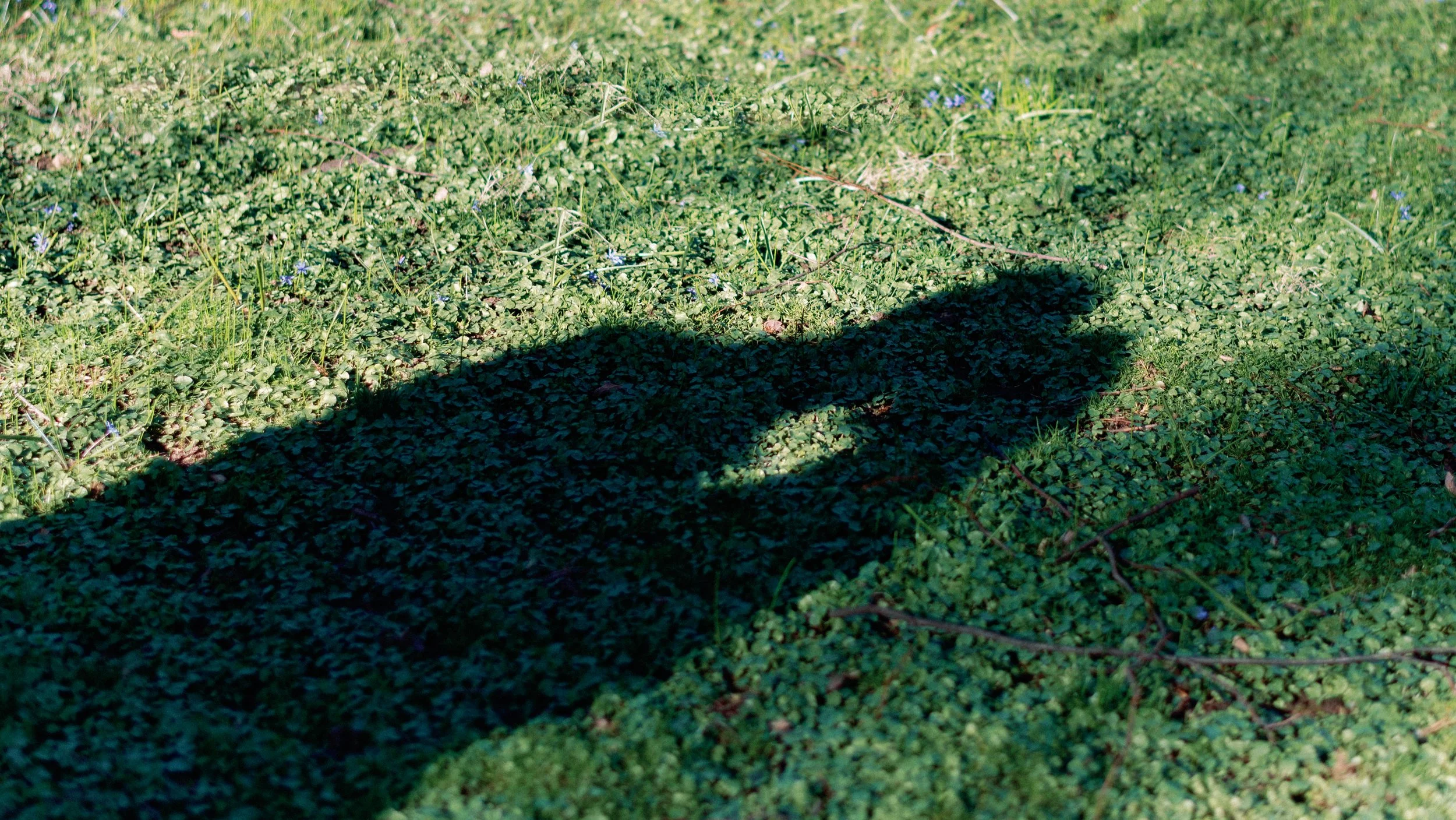 marilyn + naveen proposal-2022-by-Nim Tom-120.jpg