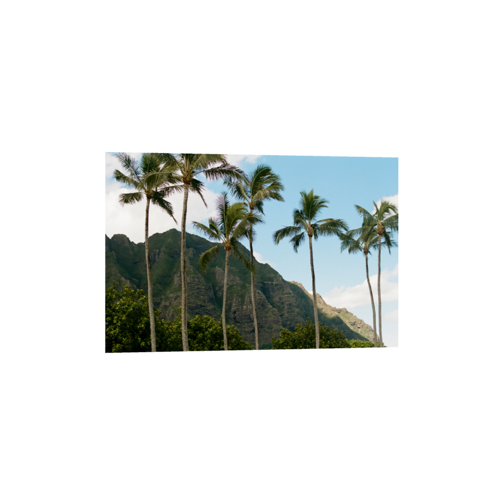 ptq_1_3_4_0_1503_1002_0_false_ffffff_4_4_.png