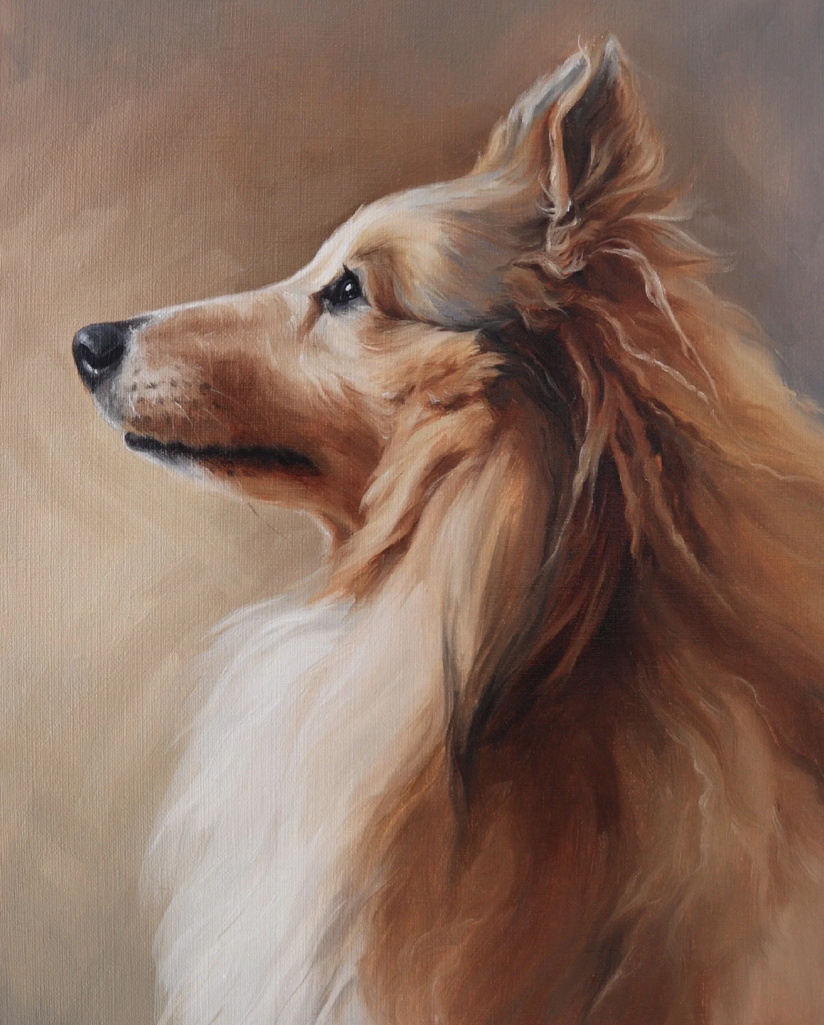 Oil painting of a sheltie by Yolanda Blazquez 