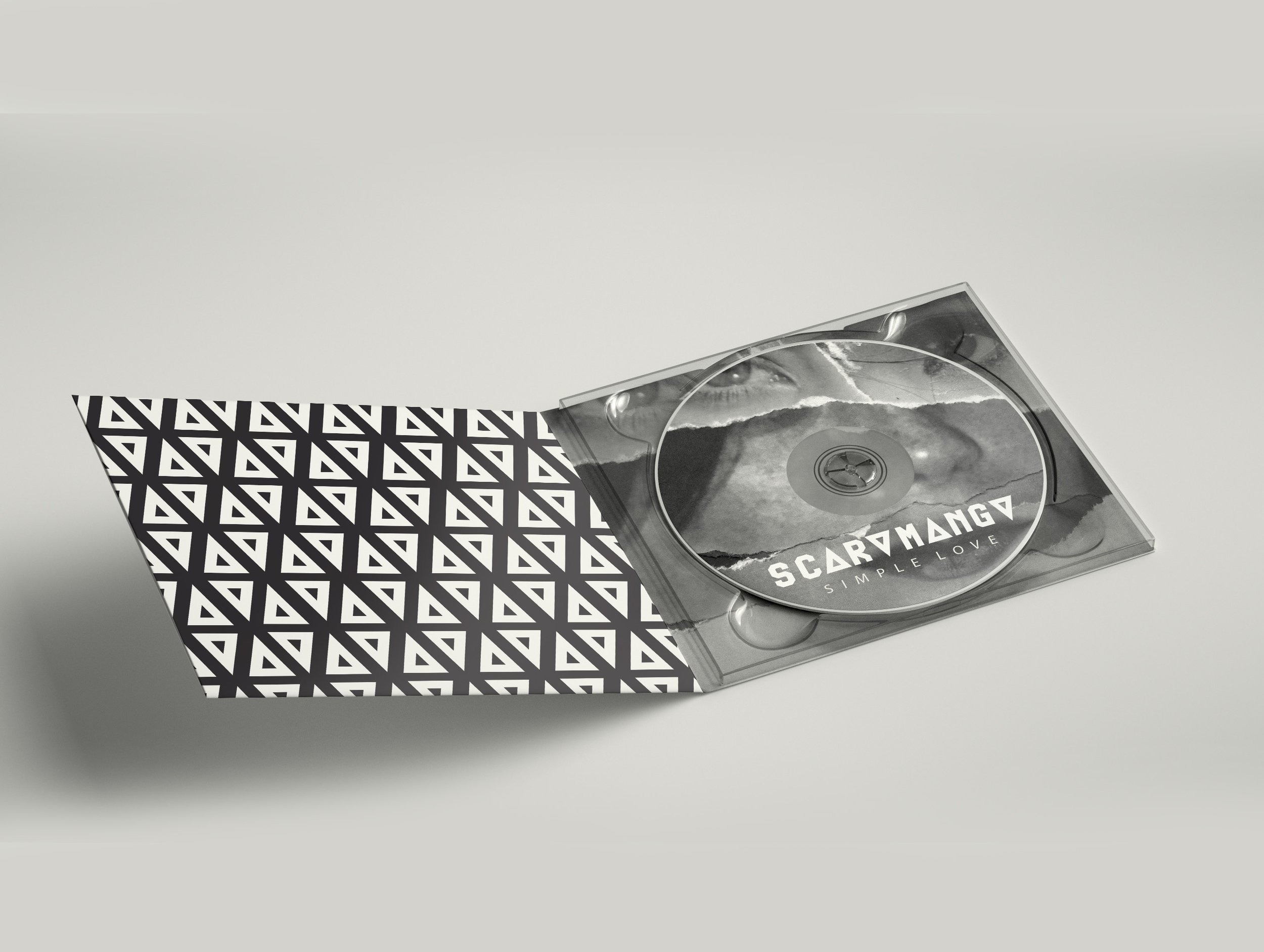 CD-scara-2.jpeg