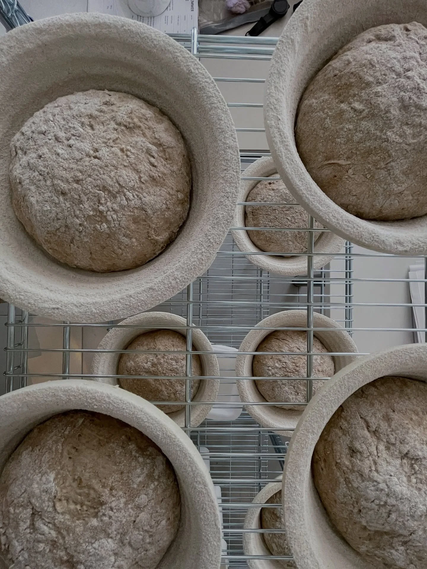 Our current production is located at Eaternity&rsquo;s office and we&rsquo;re deeply grateful to their entire team for supporting us until now. Their space has been home to Freja&rsquo;s growth and learning.

But it&rsquo;s time for us to take our ow