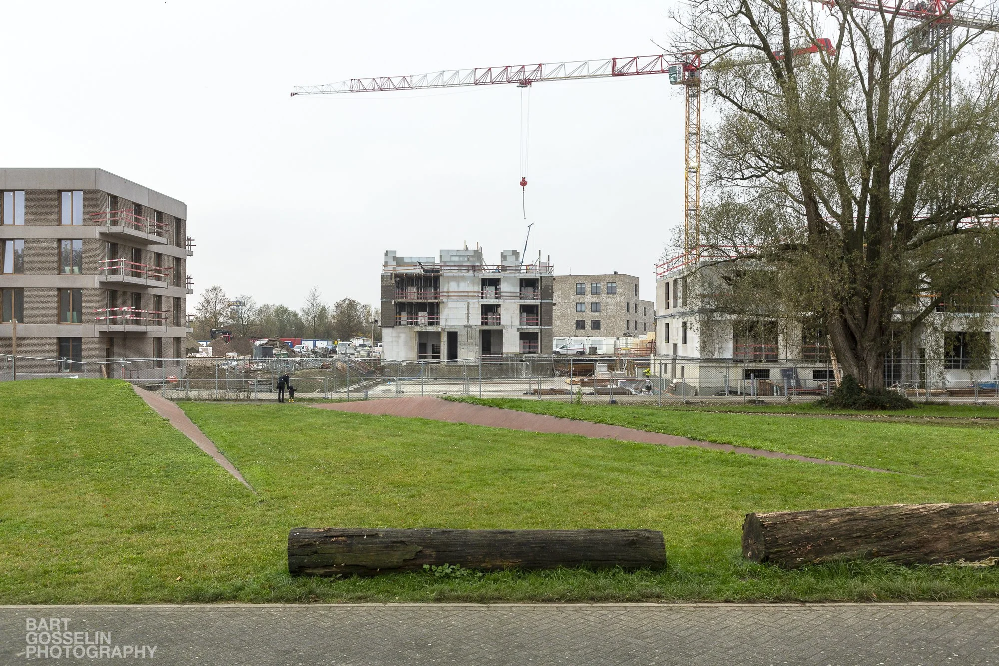 2311 3Liv Eden werf 07.jpg