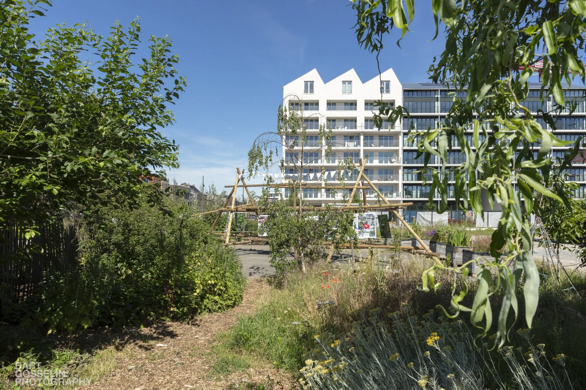 2606 Slachthuissite juni 2026 07.jpg
