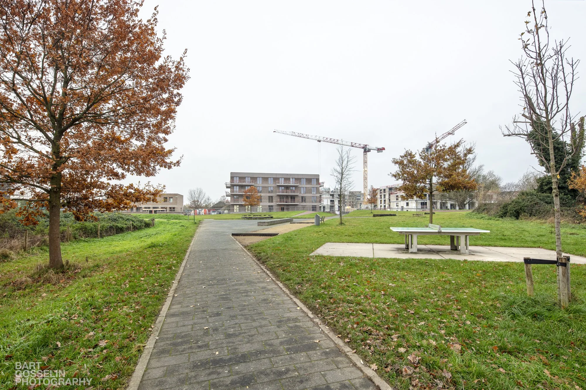 2311 3Liv Eden werf 15.jpg