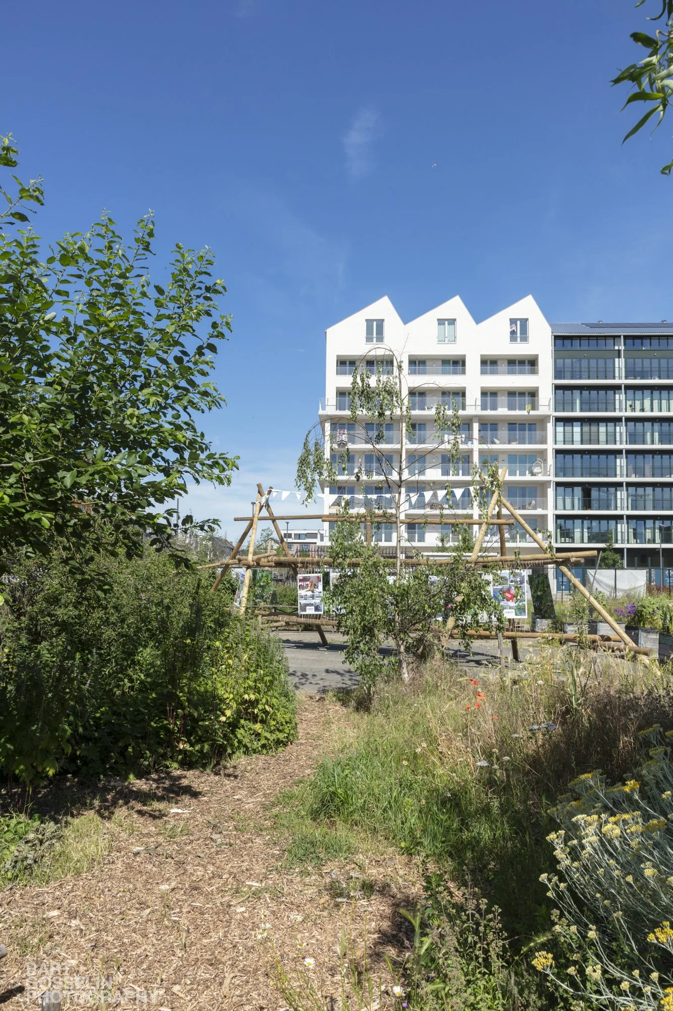 2606 Slachthuissite juni 2026 08.jpg