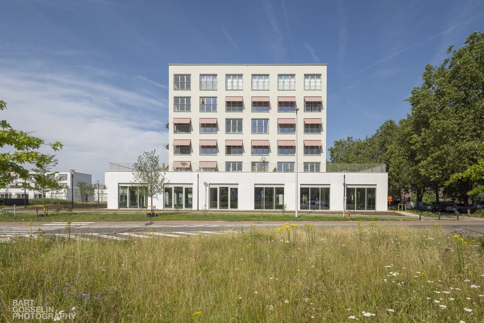 2606 3LIV Flora Aalst 71.jpg