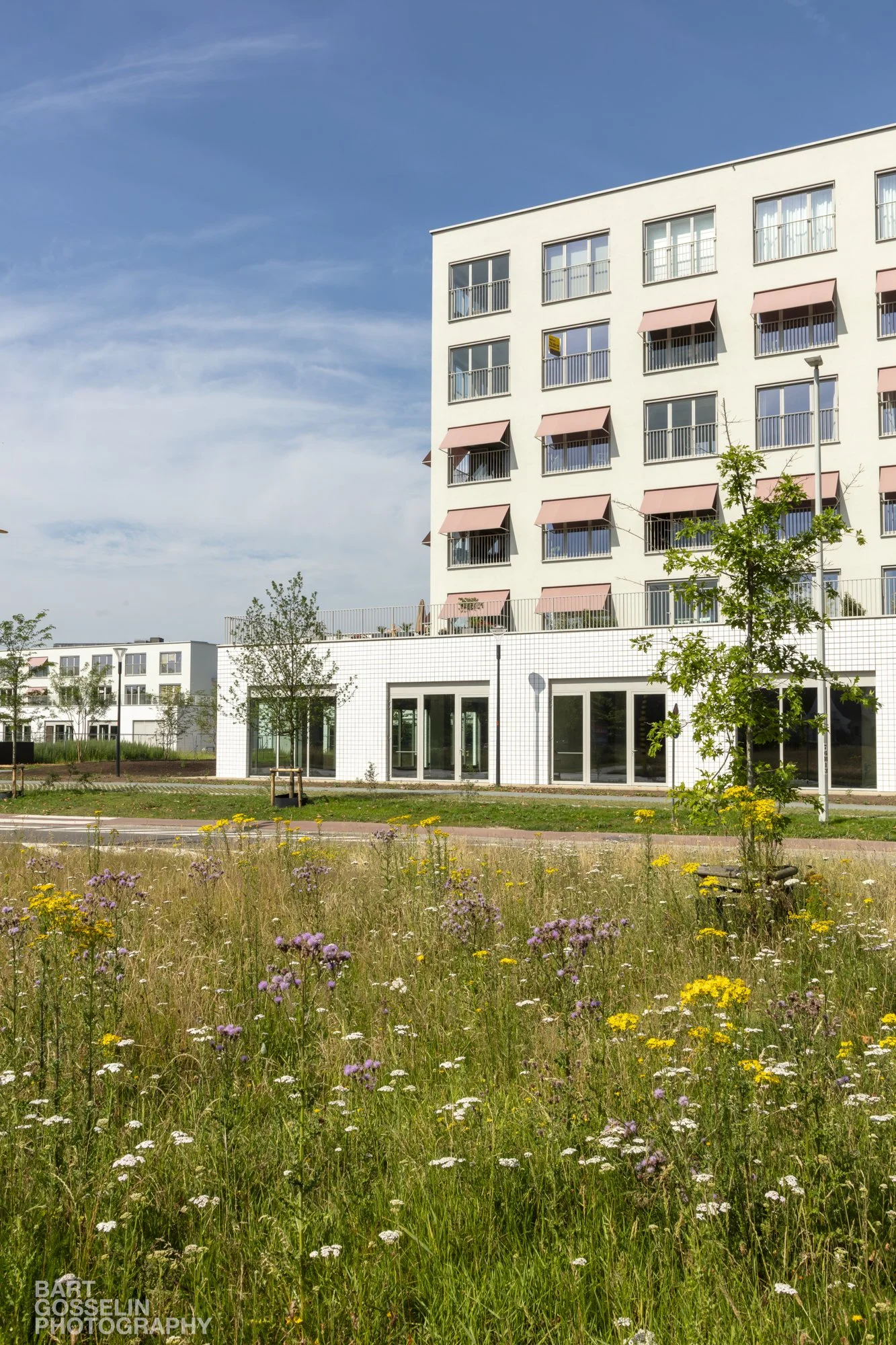 2606 3LIV Flora Aalst 70.jpg