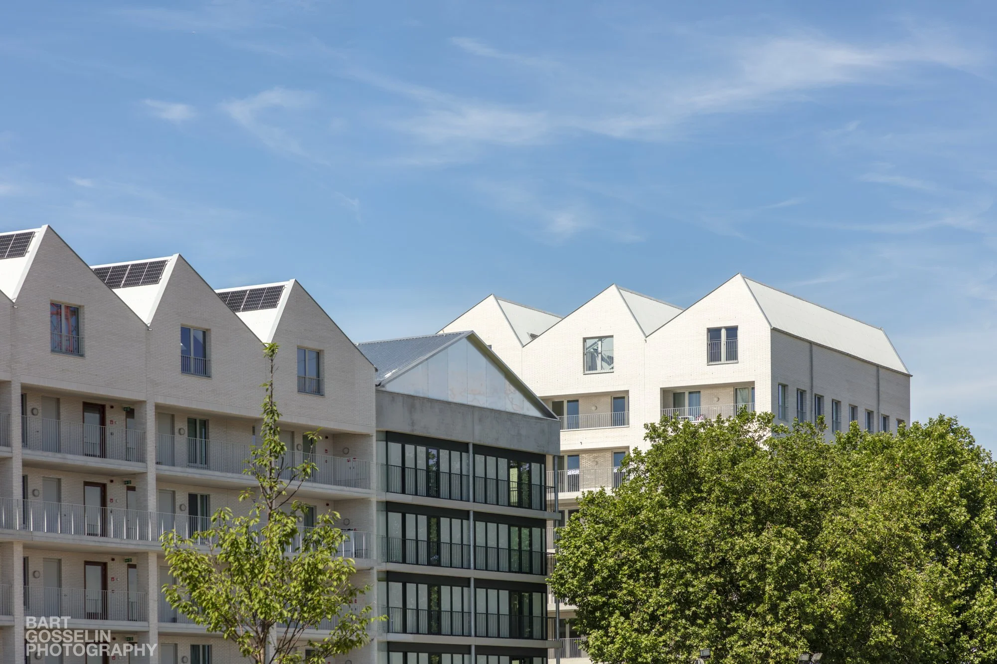2606 Slachthuissite juni 2026 54.jpg