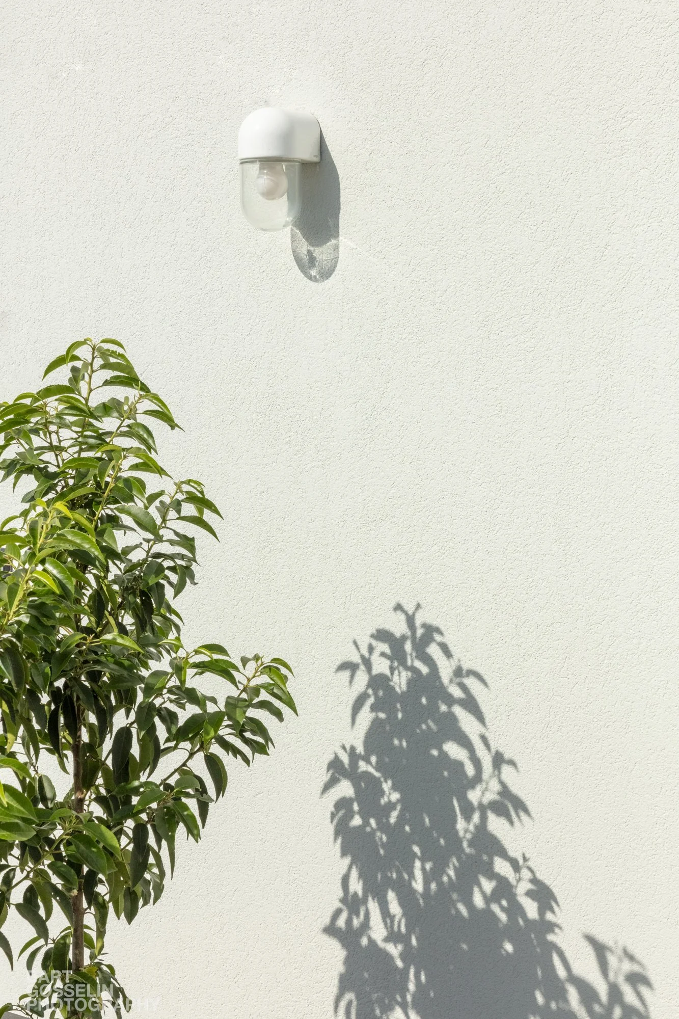 2606 3LIV Flora Aalst 41.jpg
