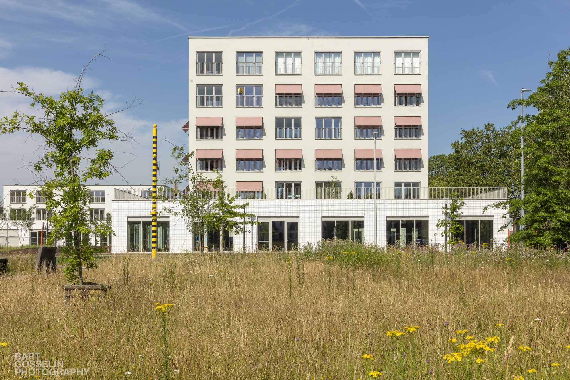 2606 3LIV Flora Aalst 69.jpg