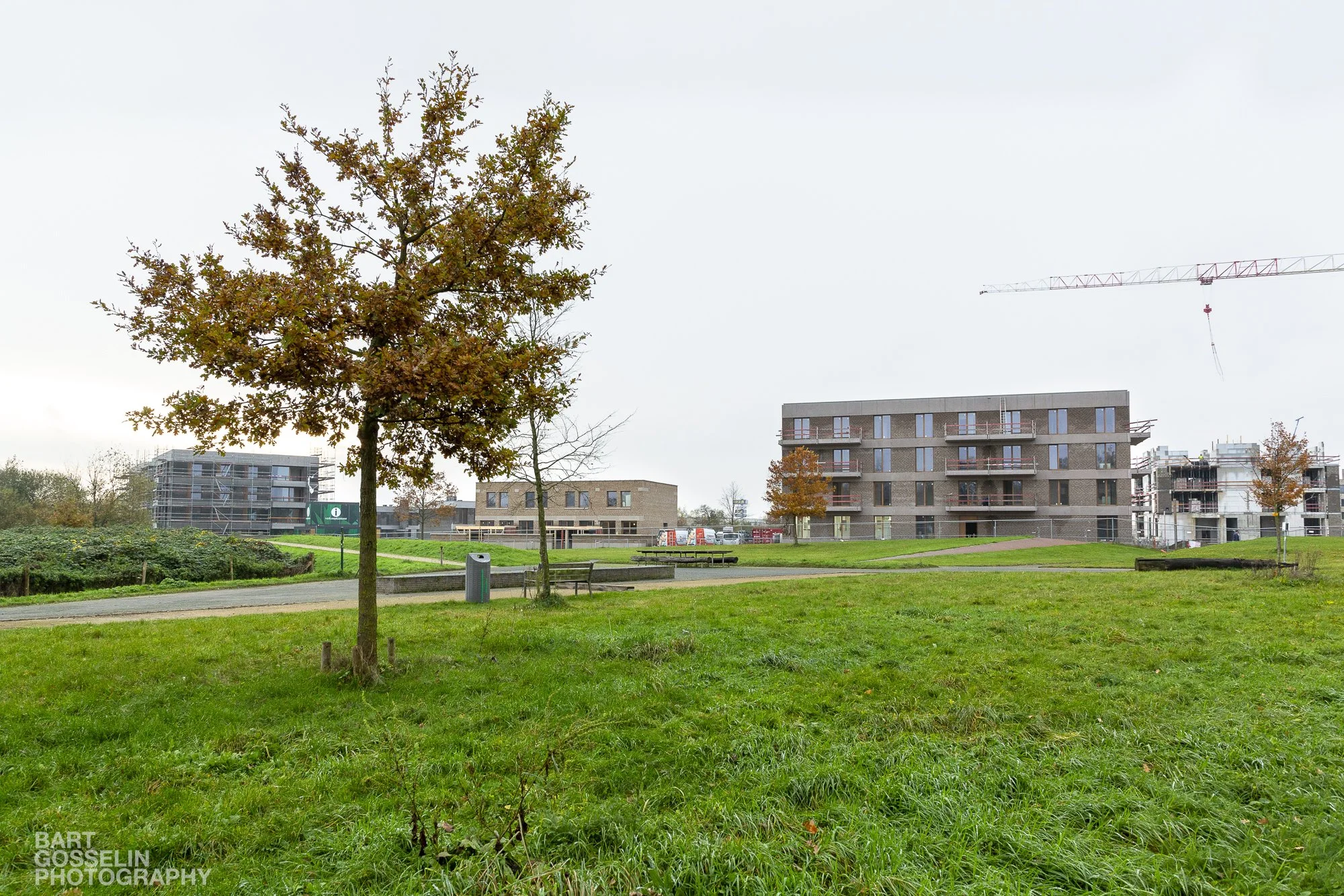 2311 3Liv Eden werf 13.jpg