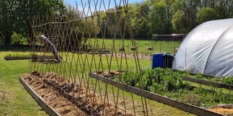 gardens.jpg
